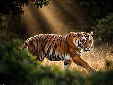 FLUX.2 图像生成模型发布，针对 NVIDIA RTX GPU 优化