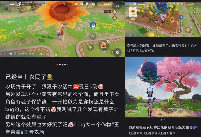 种荞麦，得“小乔”？王者荣耀卷死赛博种田