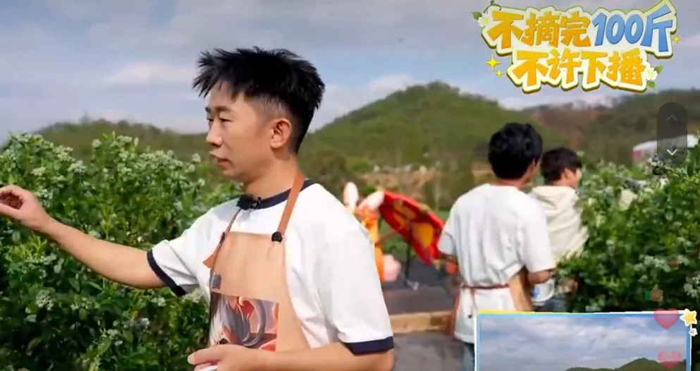 种荞麦，得“小乔”？王者荣耀卷死赛博种田