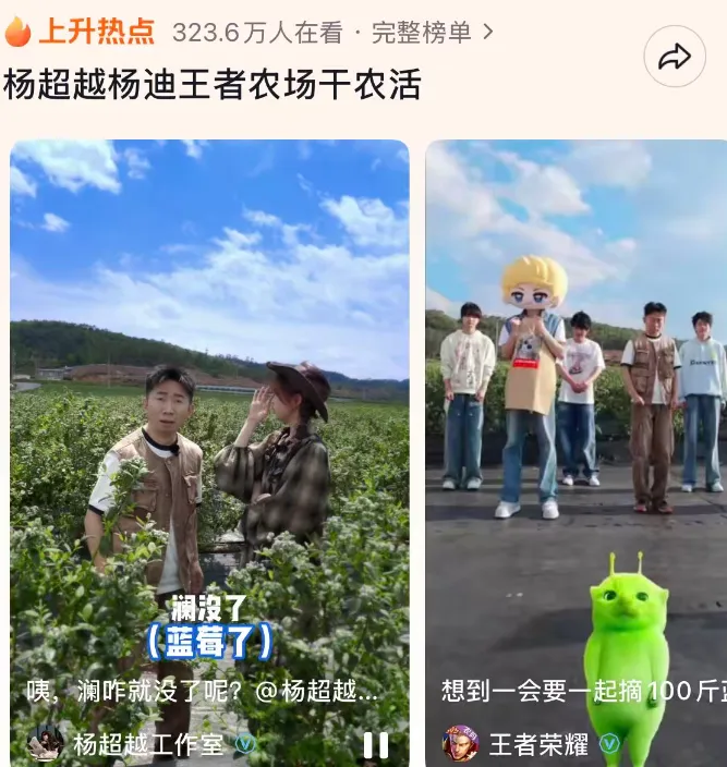 种荞麦，得“小乔”？王者荣耀卷死赛博种田