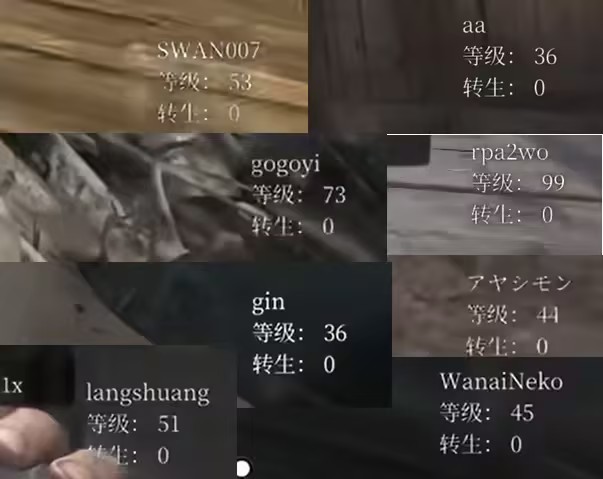 在深夜直播间，他每天逮捕开挂的人